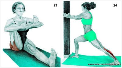 Estiramientos de Piernas