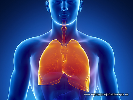 Fisioterapia respiratoria